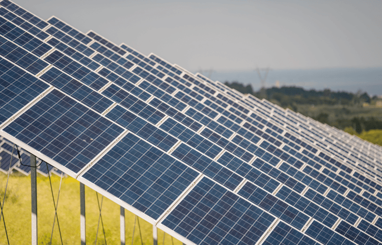 Paneles solares de silicio monocristalino